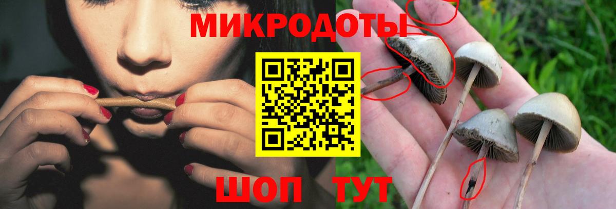 Галлюциногенные грибы ЛСД Кинель
